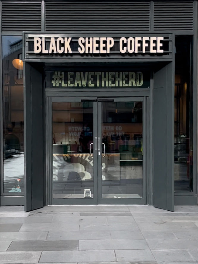 Black Sheep Coffee, photo 2